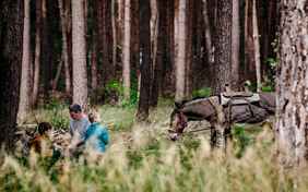 Durch Wälder, Seenlandschaften und üppige Wiesen mit dem langohrigen Freund
